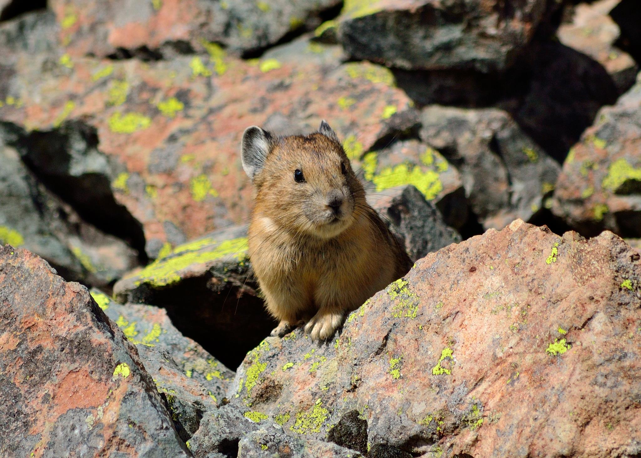 What I Learned On A 2 Day Wildlife Photography Safari In